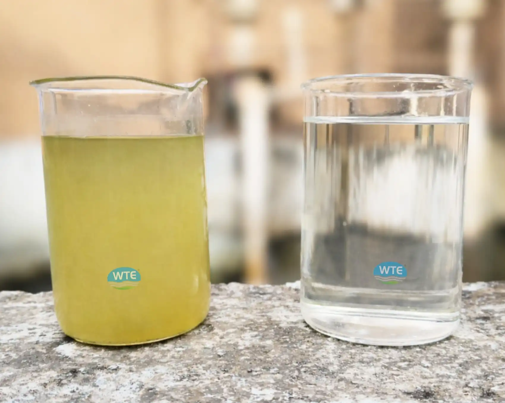 Clean water and wastewater treatment impact by WTE